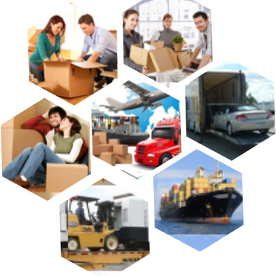 leo packers services